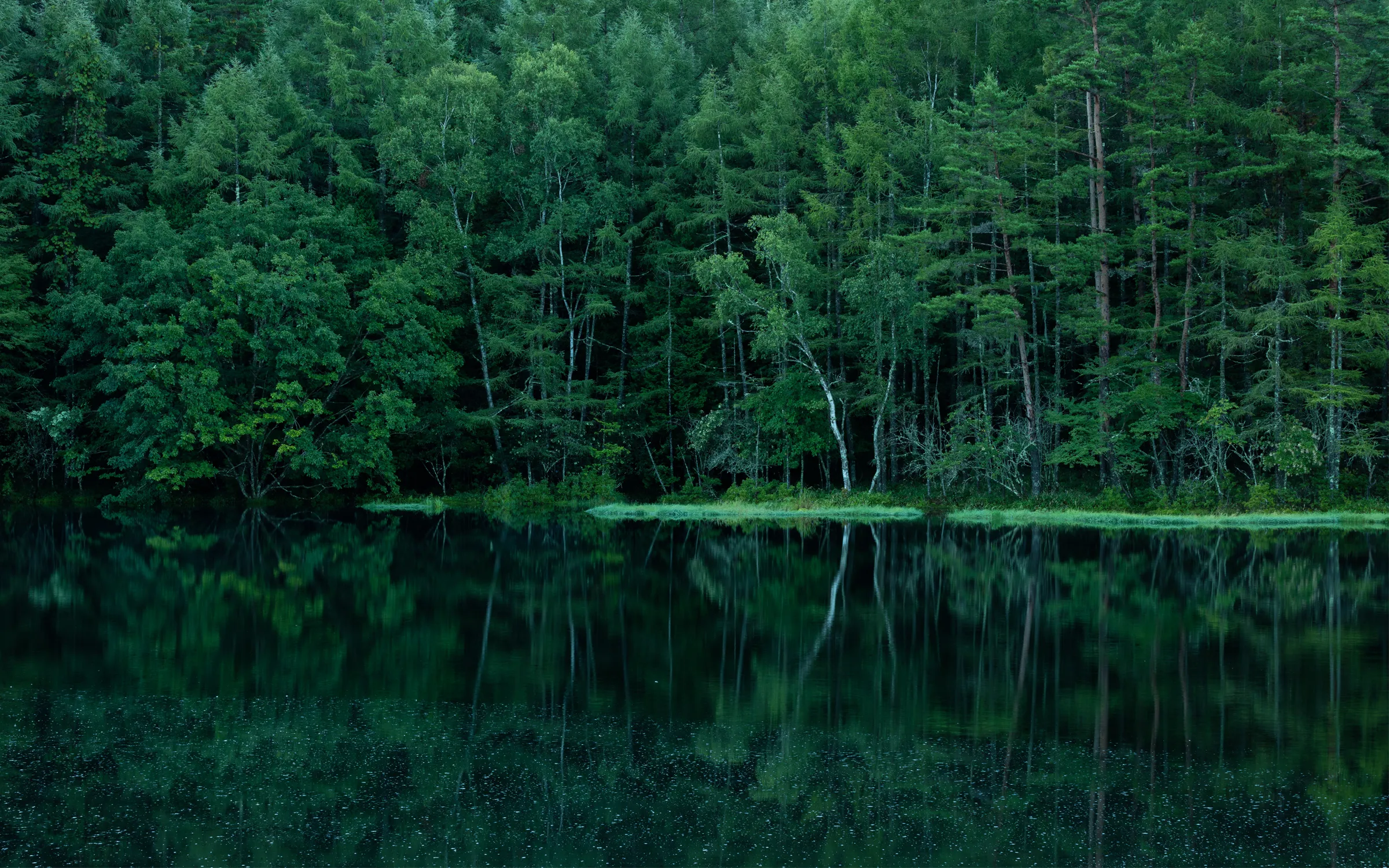 長野県・御射鹿池の静かな湖面と森の風景